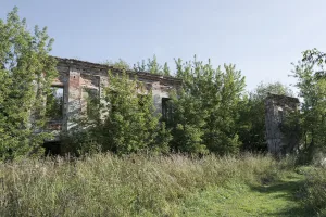 Супоньевский дворец (руины)