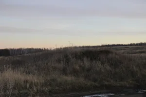 Городище «Городищенское»