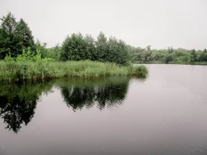 Колпь