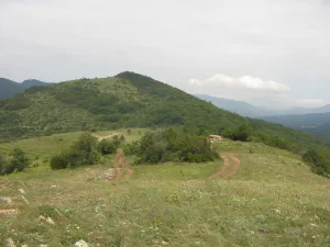 Нексис
