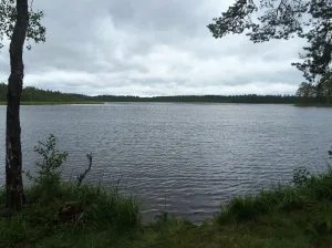 Финкино