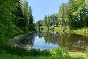 Краснодолинный пруд с плотиной