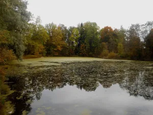 Парк (37 га)