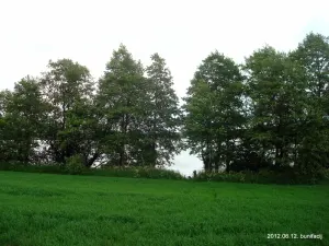Ухвище