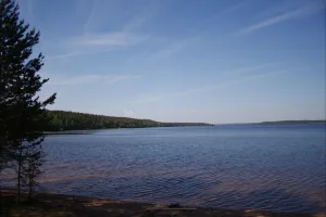 Высокинское (озеро)