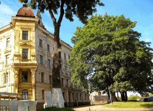 Городская усадьба В. Хакмана