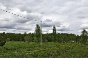 Место, где находилось имение декабриста Н.В. Басаргина (Желтухино)