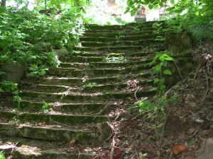 Лестница в парк