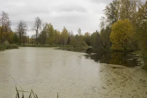 Парк с прудами (Кемцы)