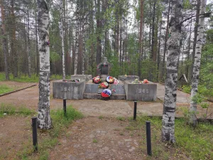 Братская могила воинов, погибших в годы Великой Отечественной войны (Чернопорожское с.п.)