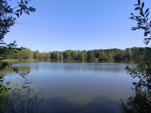 Казинское