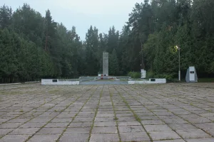 Братская могила советских воинов и партизан (А. В. Петров, В. К. Пислегин)