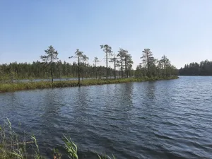 Лоухиярви