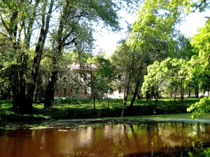 Парк (с прудами)