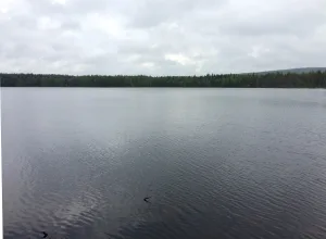 Большие Кушкари