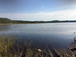 Котаярви