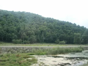 Кугарчи