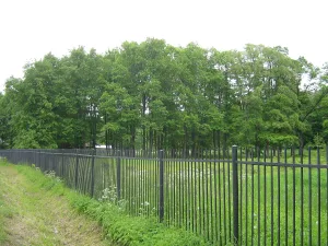 Парк