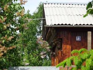 Дом Борониной