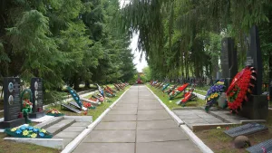 Кладбище советских воинов с могилой В. Г. Дорохина