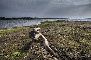 Ленёвское водохранилище