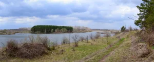 Кобылья Снова