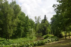 Парк