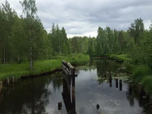 Шоба