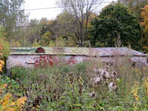 Оранжерея (Васькино)