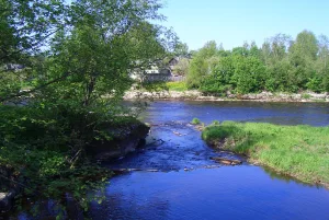 Кушелка