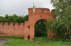 Ограда парка с воротами (ворота) (Большая Алешня)