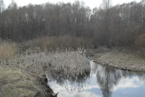 Гончариха