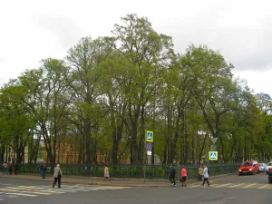 Сквер