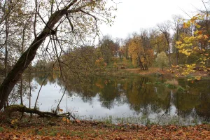 Парк усадьбы Гостилицы