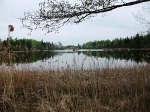 Заловское