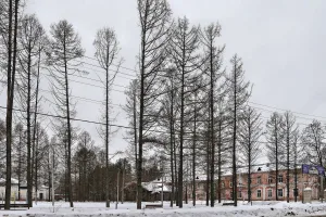 Заводская больница