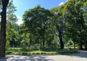 Рогожинский парк