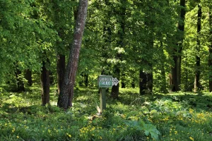Парк