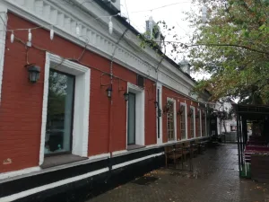 Дома Мякиньковых
