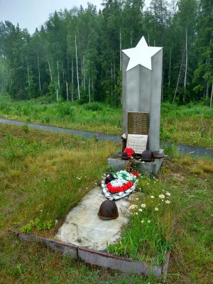 Братская могила советских воинов, погибших в годы Великой Отечественной войны (Матросское с.п.)