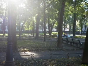 Сад