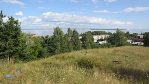 Городище «Пушкариха»