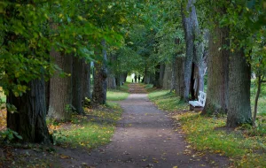 Парк (Рождествено)