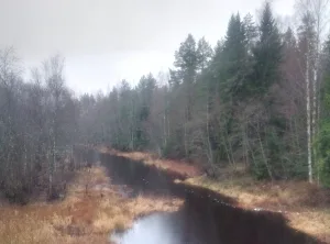 Крупица