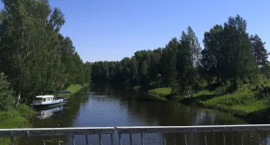 Сутка