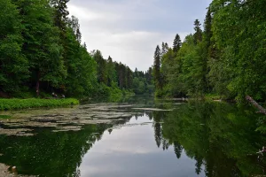 Парк