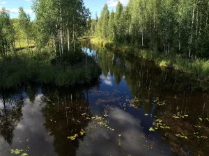 Чёбинка