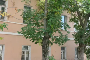 Главный дом