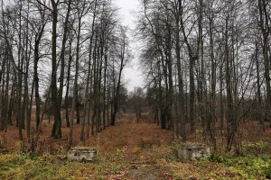 Парк (Ново-Талицы)