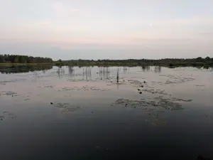 Саковщинское водохранилище